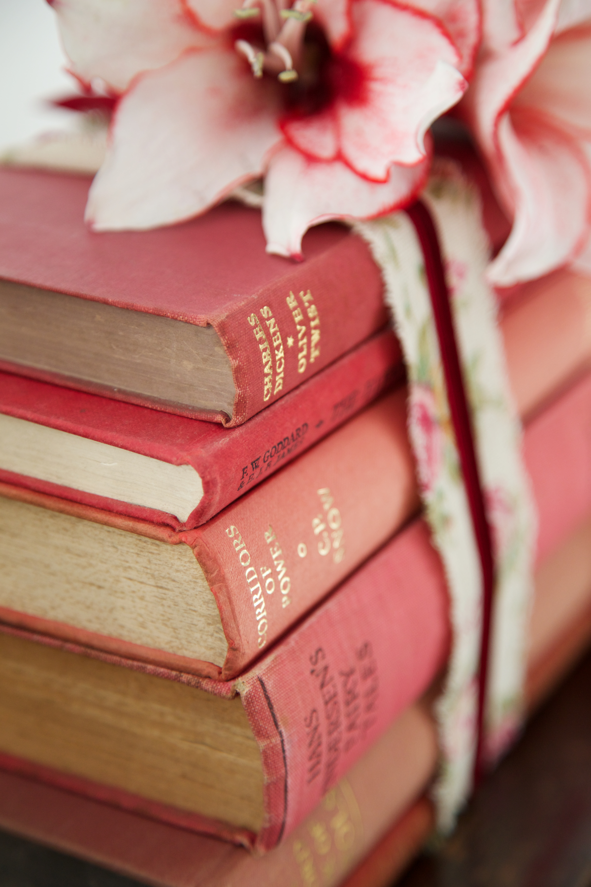 Vintage books by colour with ribbon 4.jpg