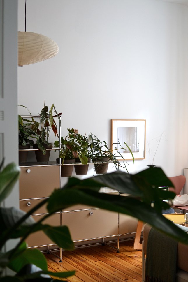 Happy Interior Blog's Igor Josifovic Kemper Berlin home with plants displayed