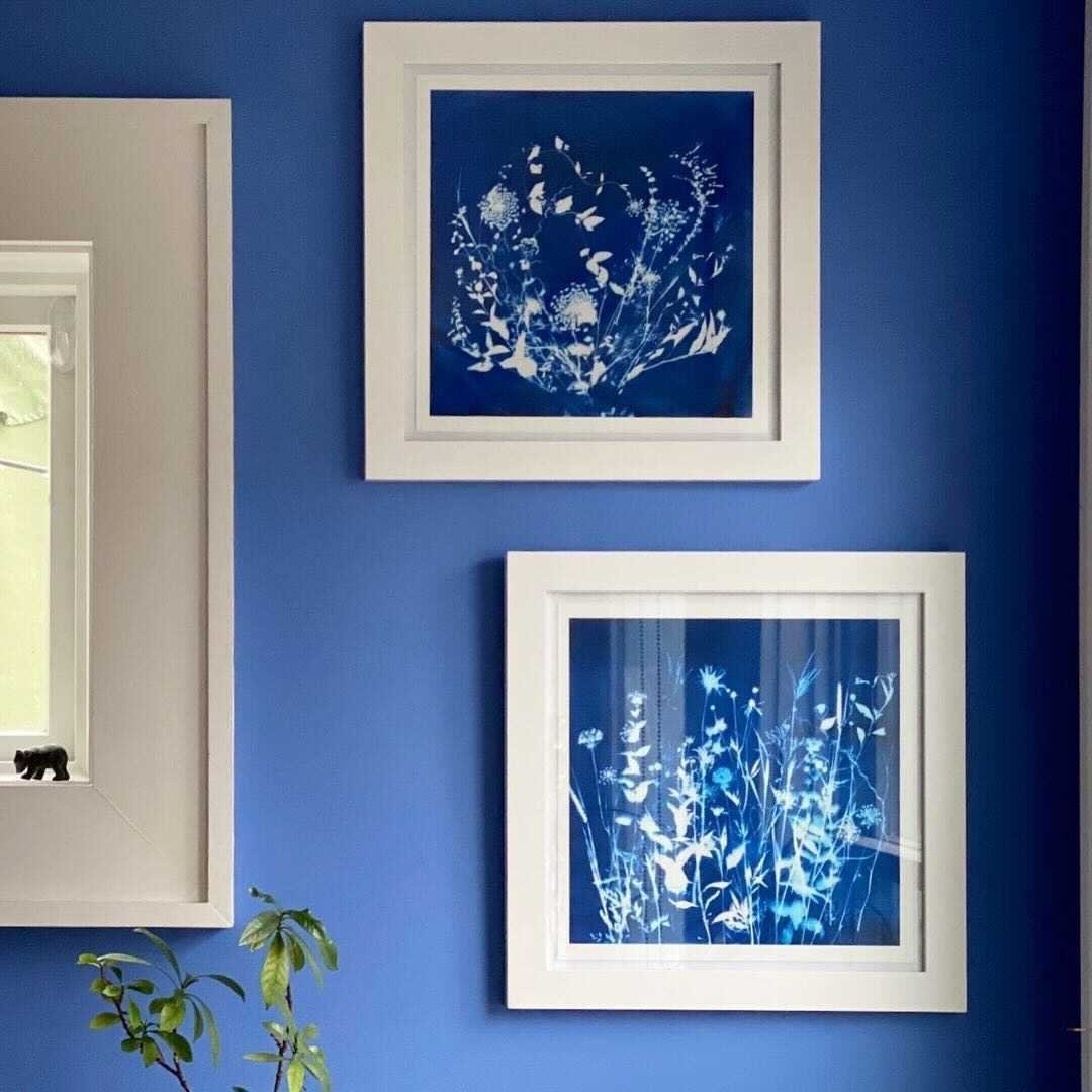 Blue painted walls with blue and white botanical art prints