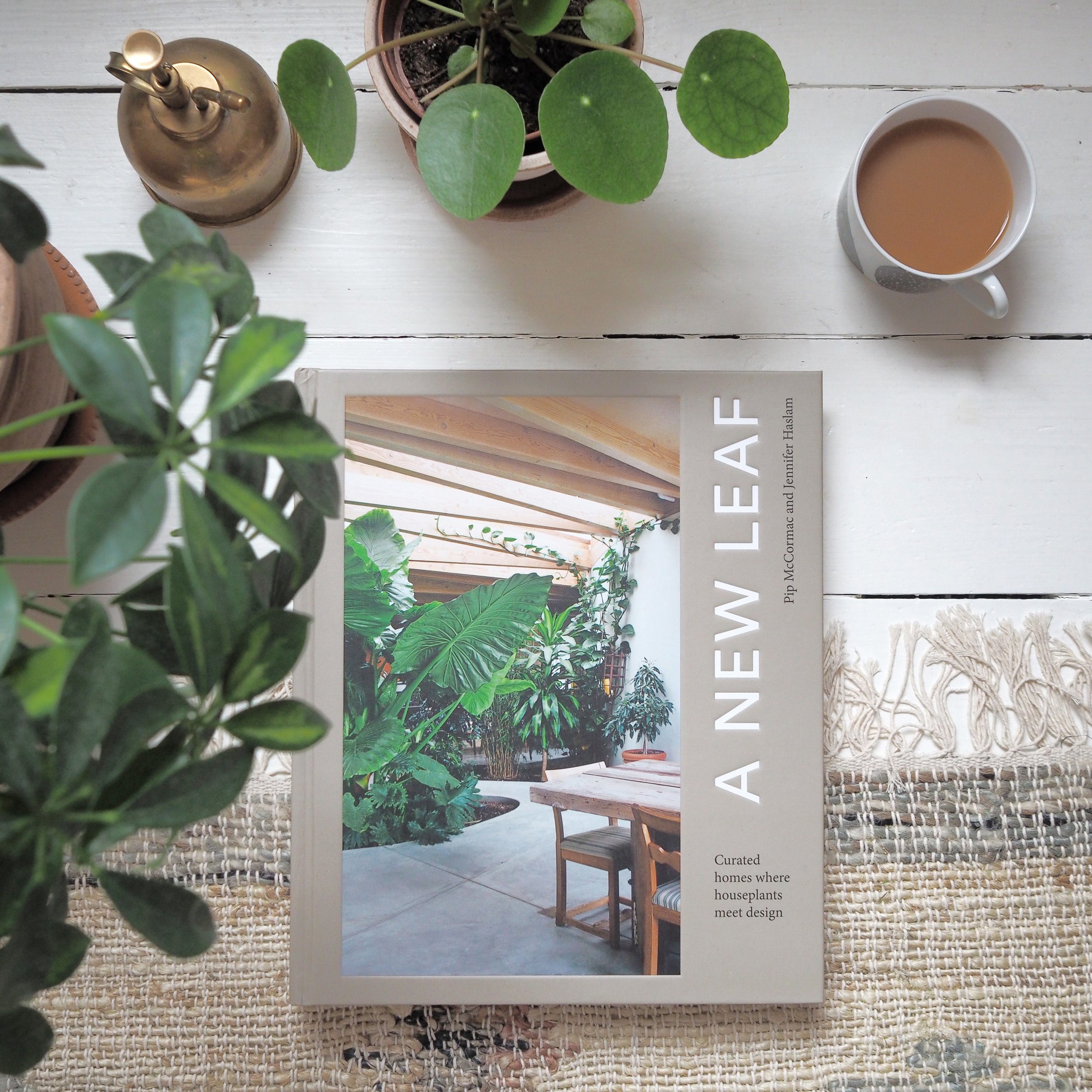 Coffee table book A New Leaf amongst houseplants and a cup of tea