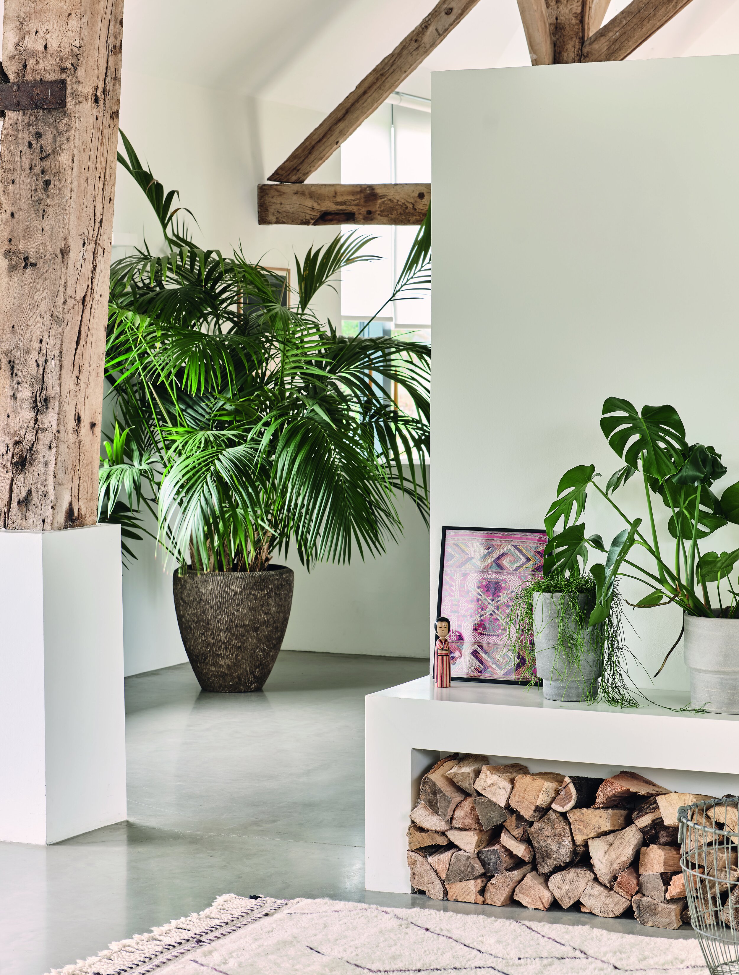 a bright interior space with wooden beams and plants