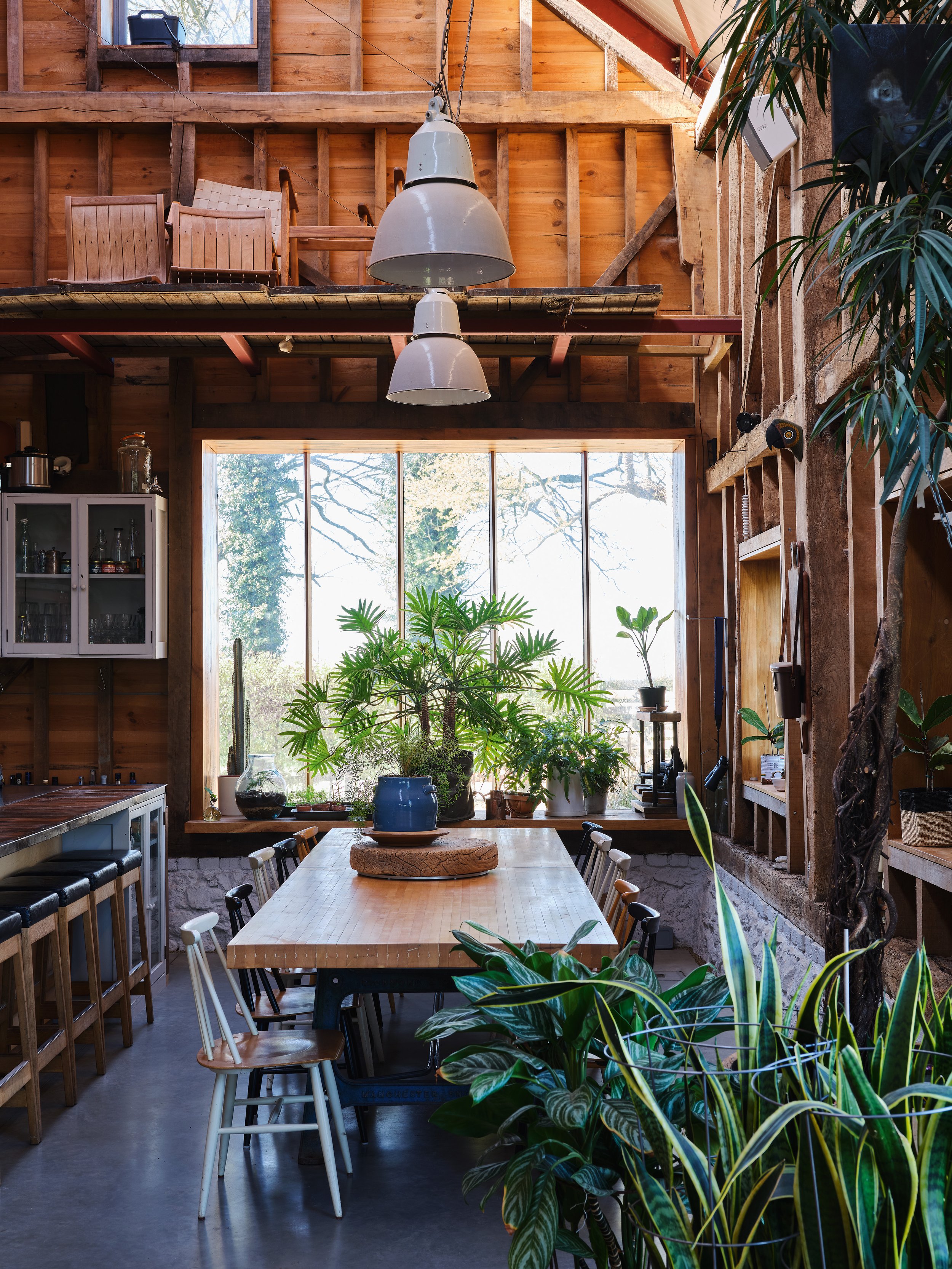 Double height interior with wood panelling and lots of plants