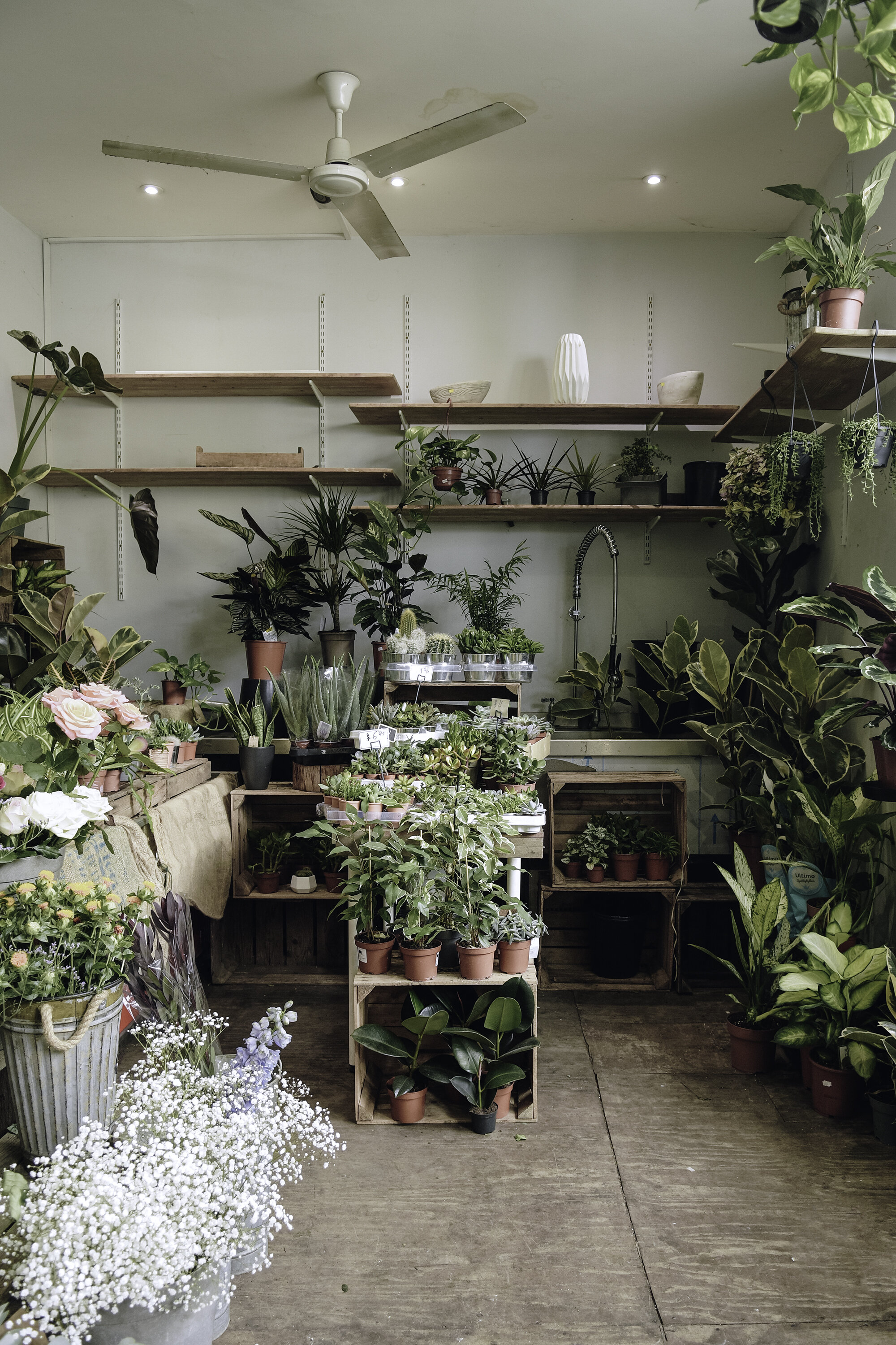 91 Magazine Instagrammer's Guide to North London -green room cafe - tanya arya photography