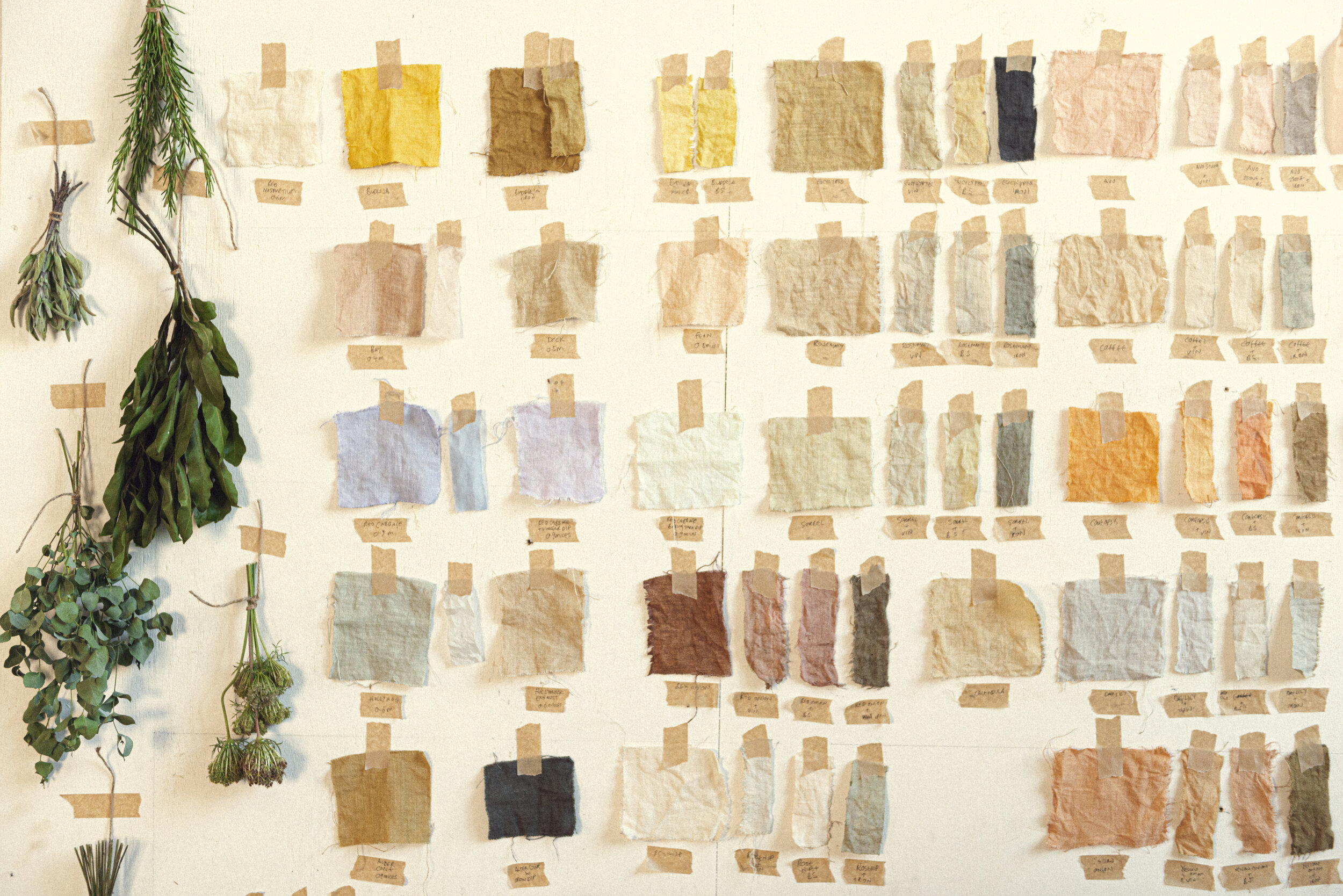 91 Magazine's Meet The Maker - The Natural Dyeworks