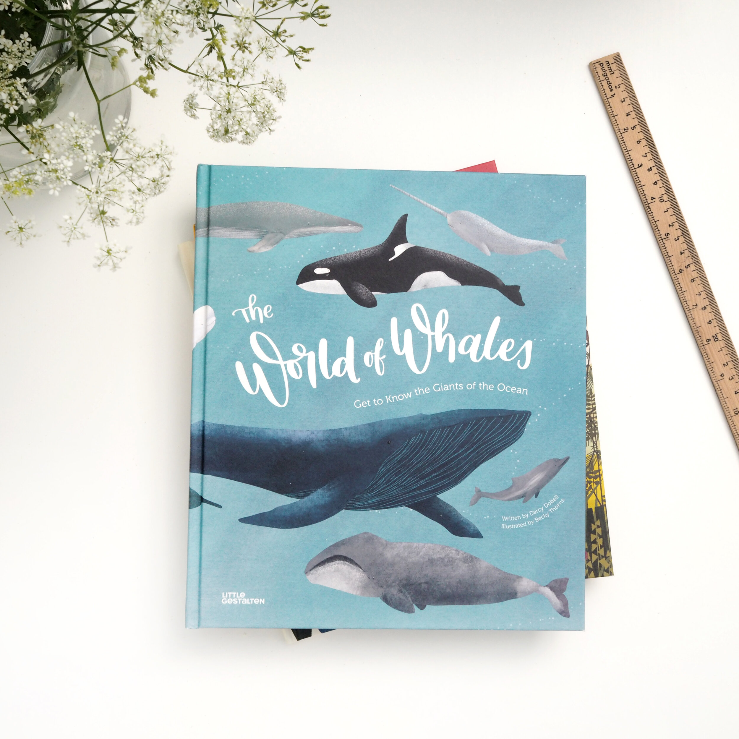 The World of Whales book