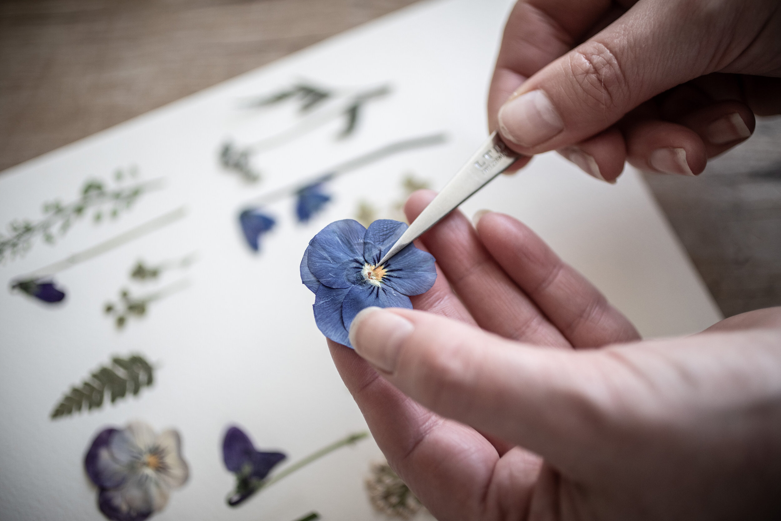 creating art from pressed flowers