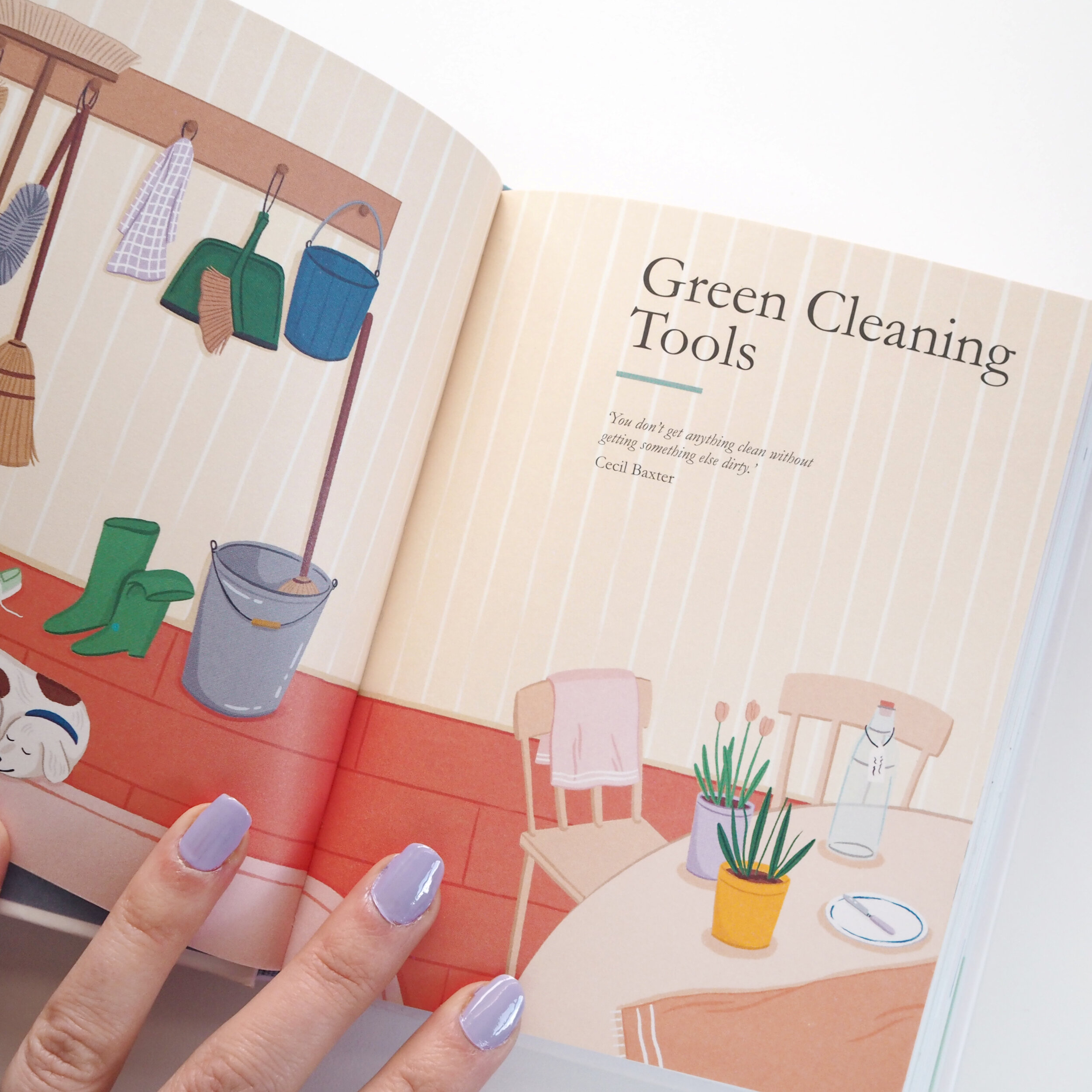 Clean Green by Jen Chillingsworth