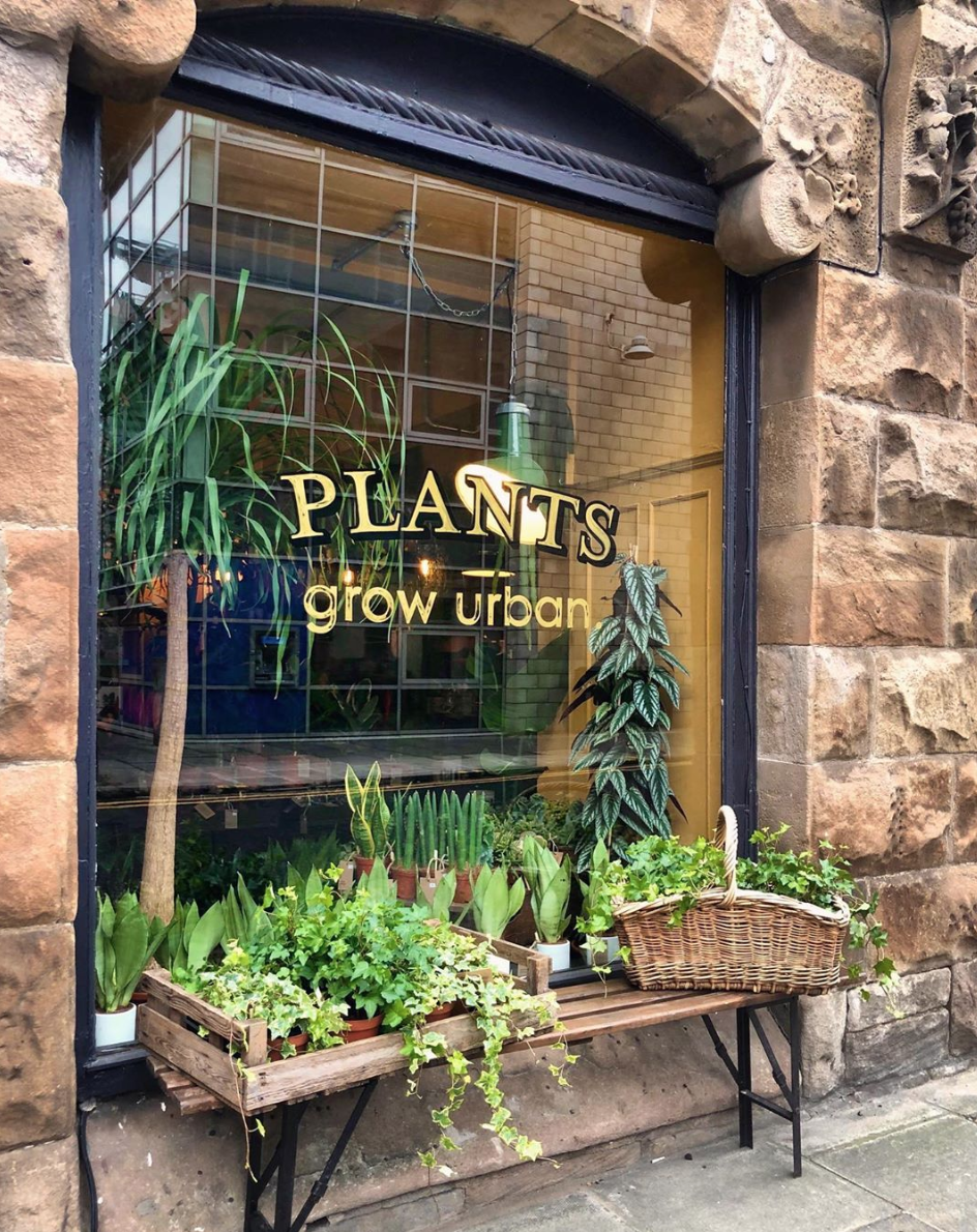 Grow Urban, Edinburgh, Scotland