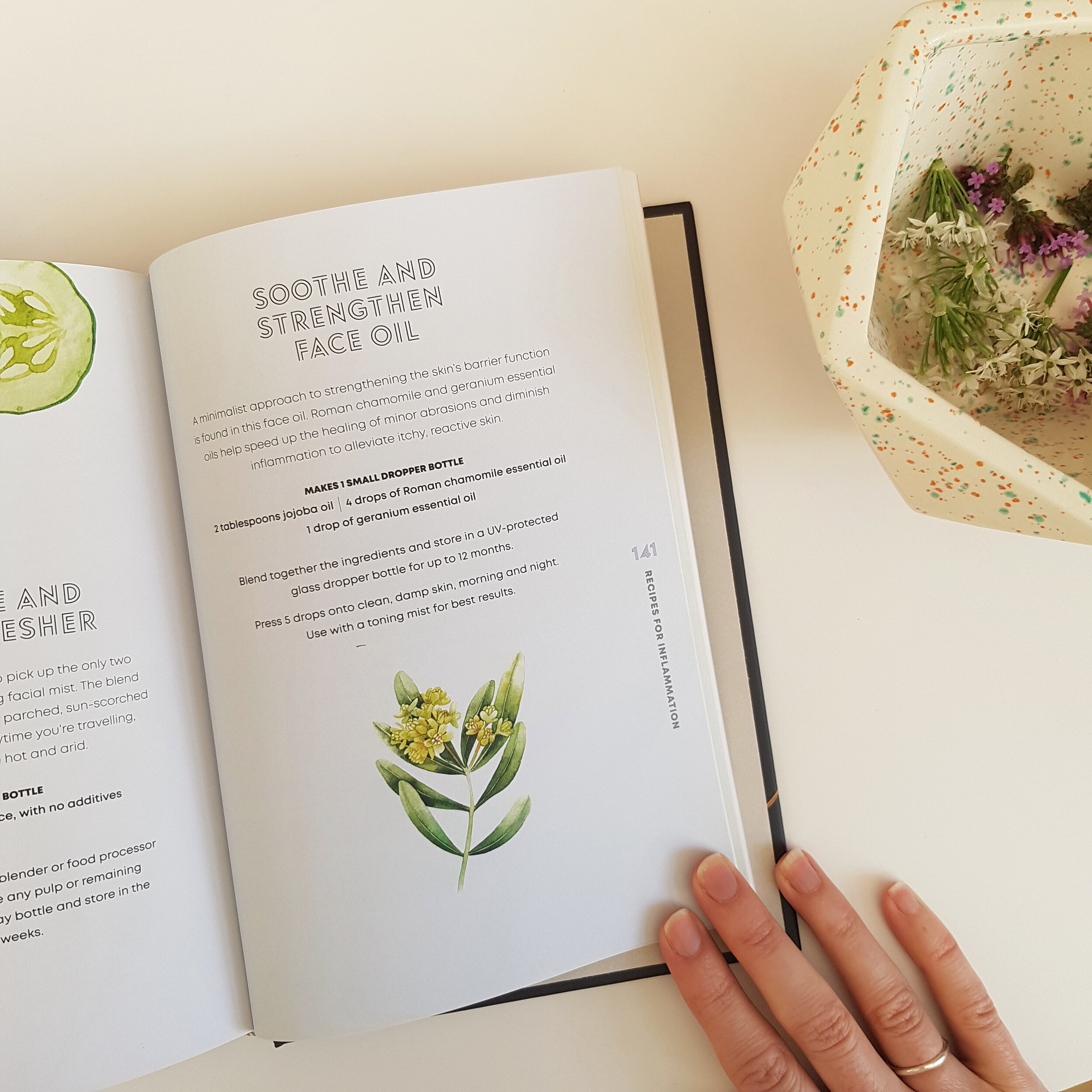Plant based Beauty by Jess Arnaudin - book review on 91 Magazine