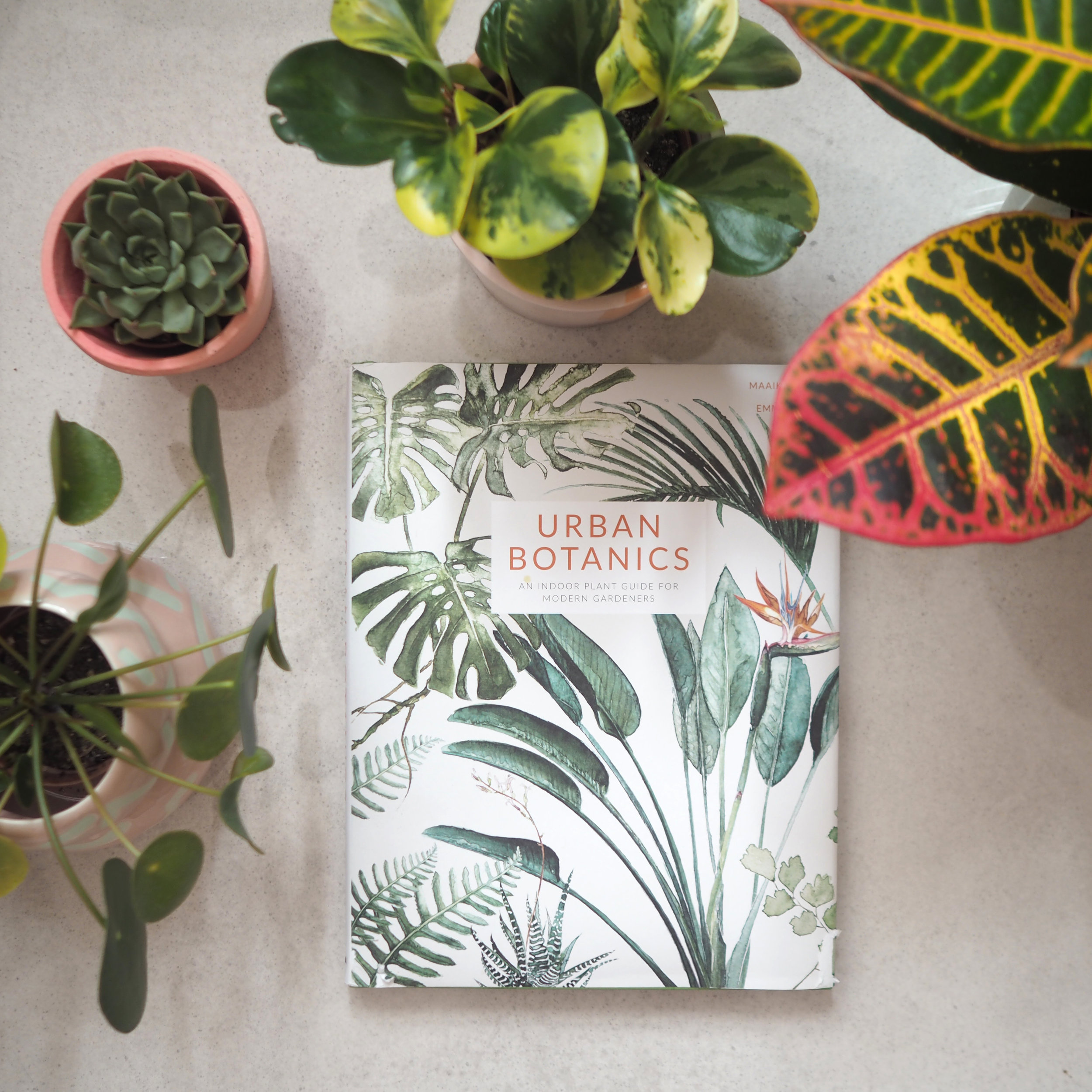 Urban Botanics by Maaike Koster and Emma Sibley