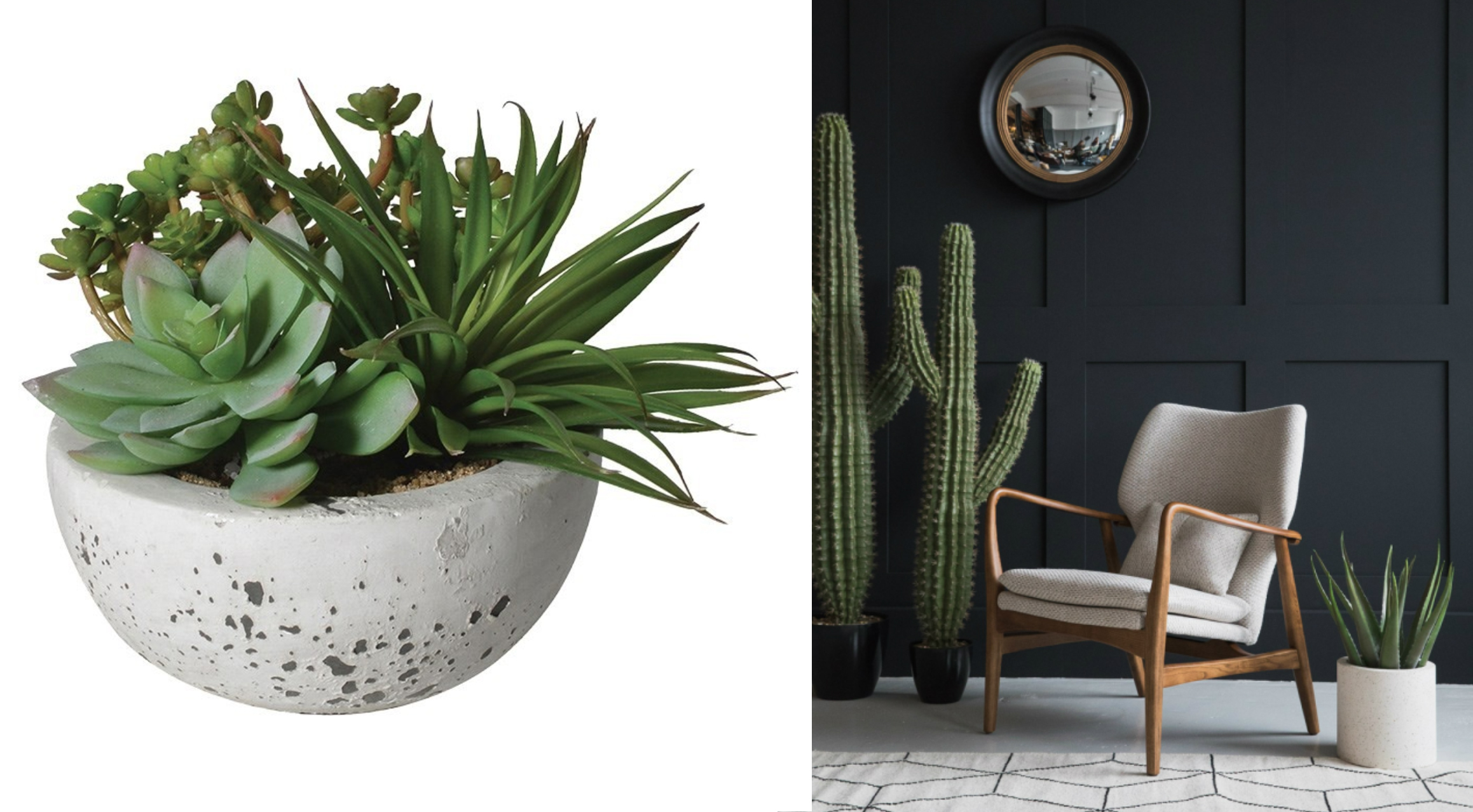 Faux succulent bowl, £24, Sweetpea and Willow; Mid century armchair, Rose & Grey, £750