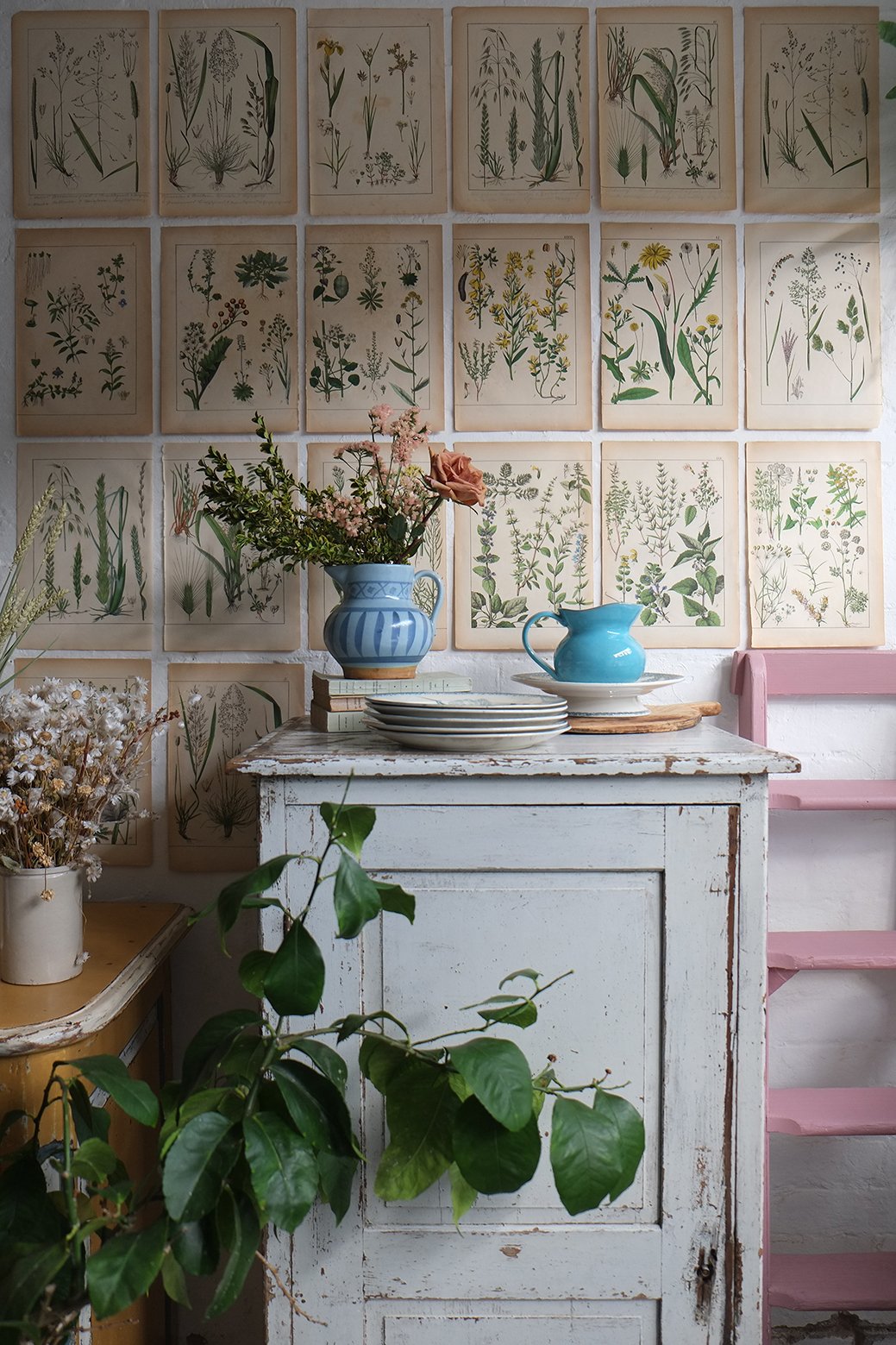 Vintage objects on display with botanical drawings on wall