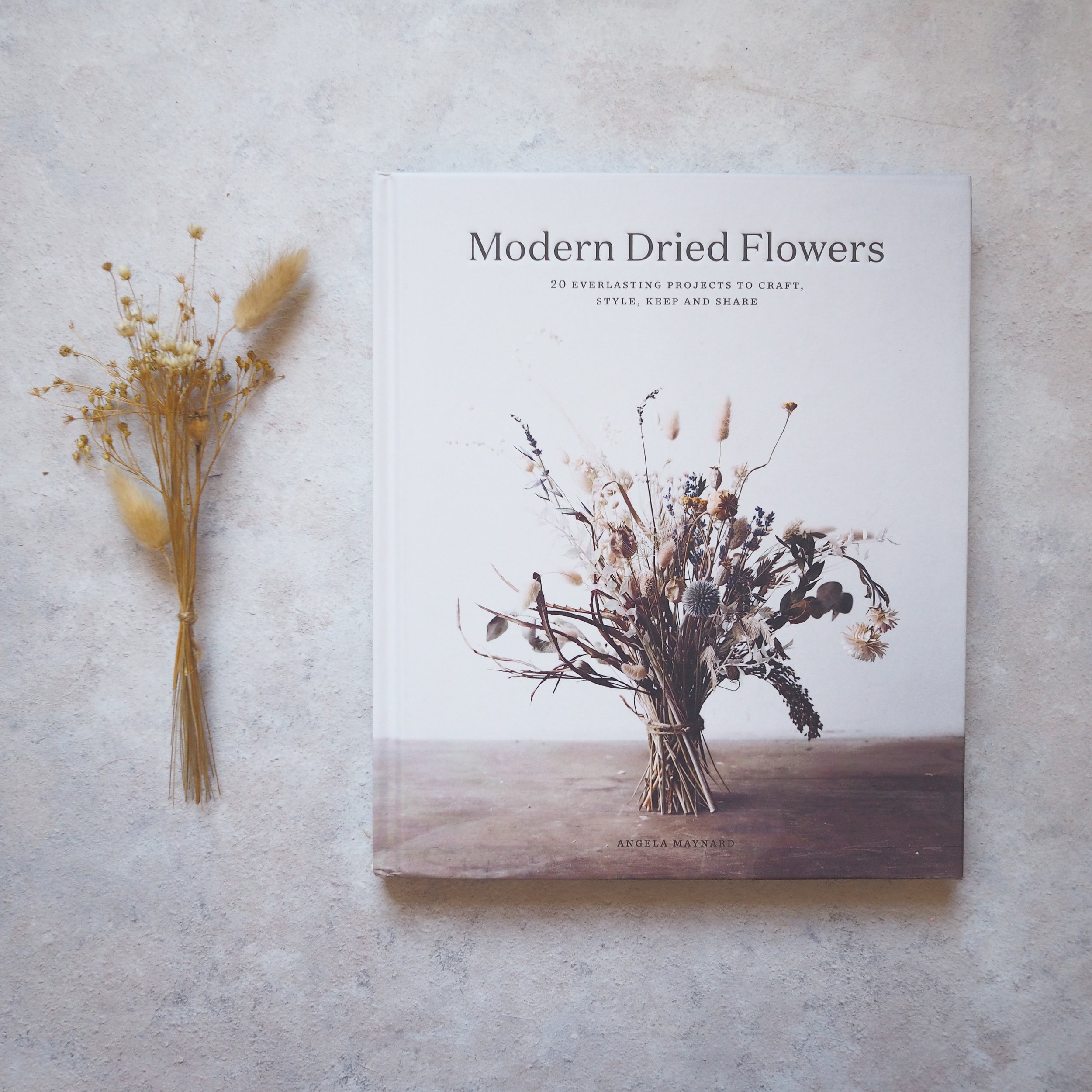 Modern Dried Flowers book cover
