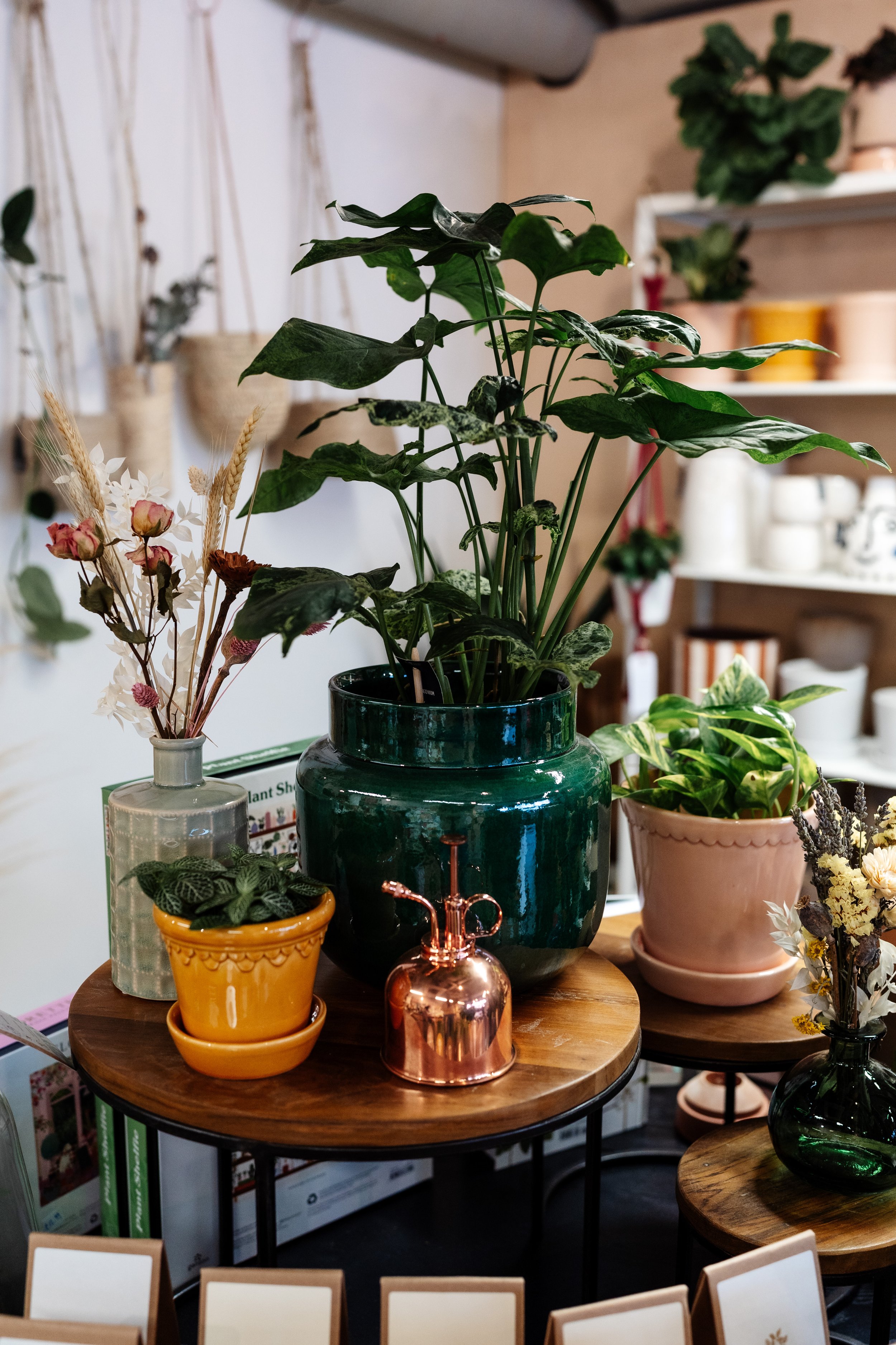 Plants and planters inside independent london store The Every Space, Walthamstow