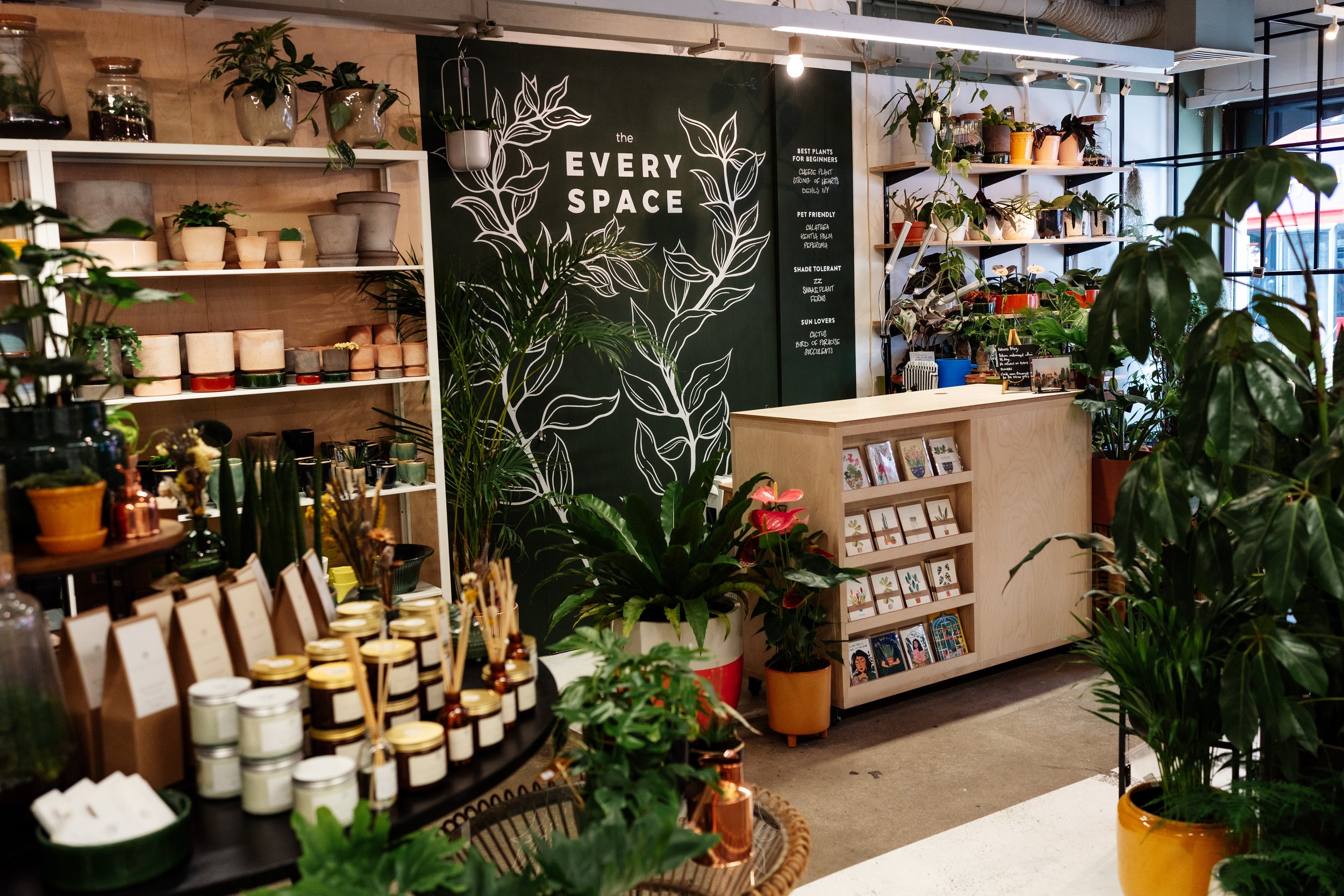 Inside independent london plant store The Every Space, Walthamstow