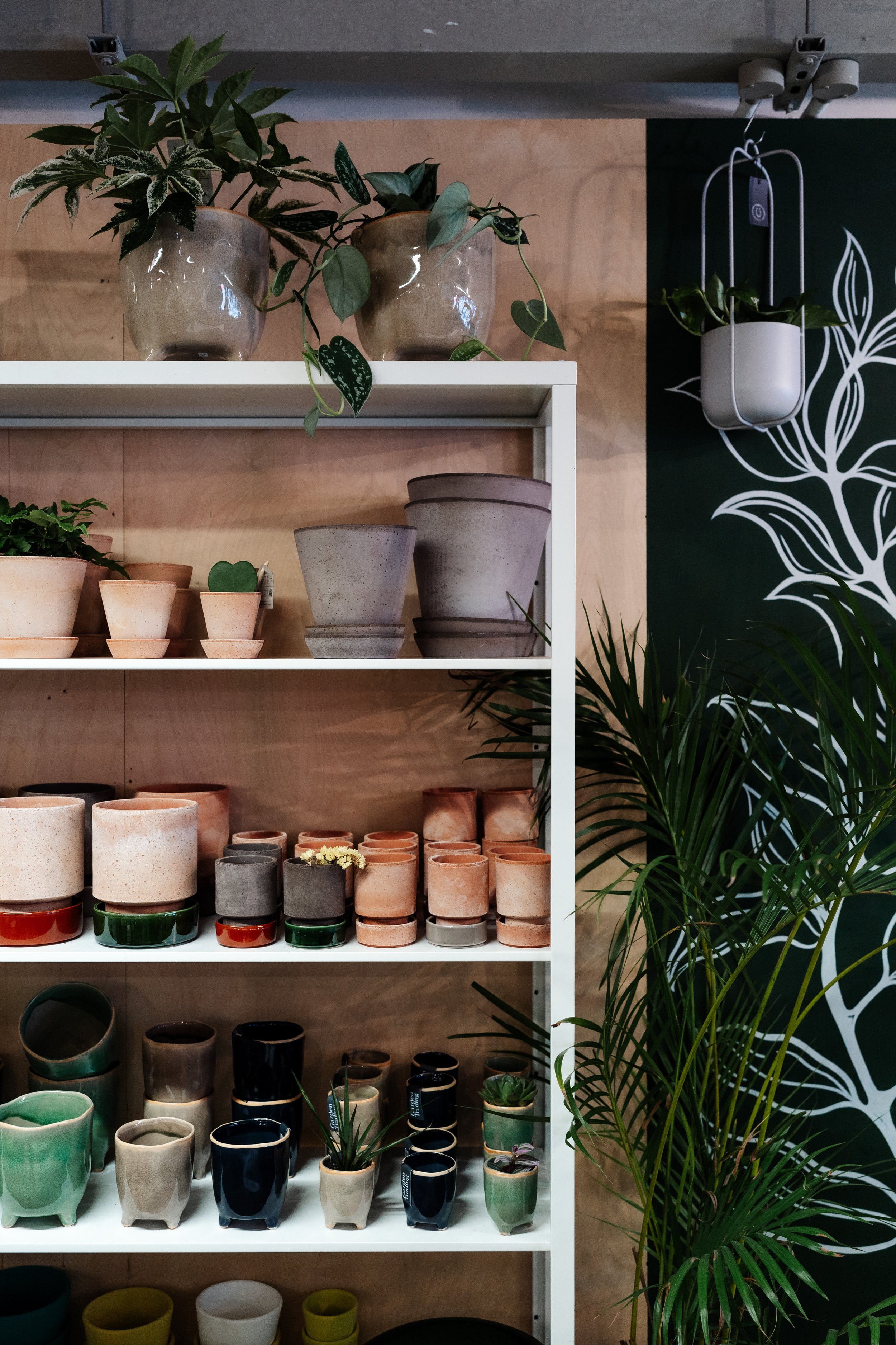 Collection of plant pots on shelving at The Every Space, Walthamstow