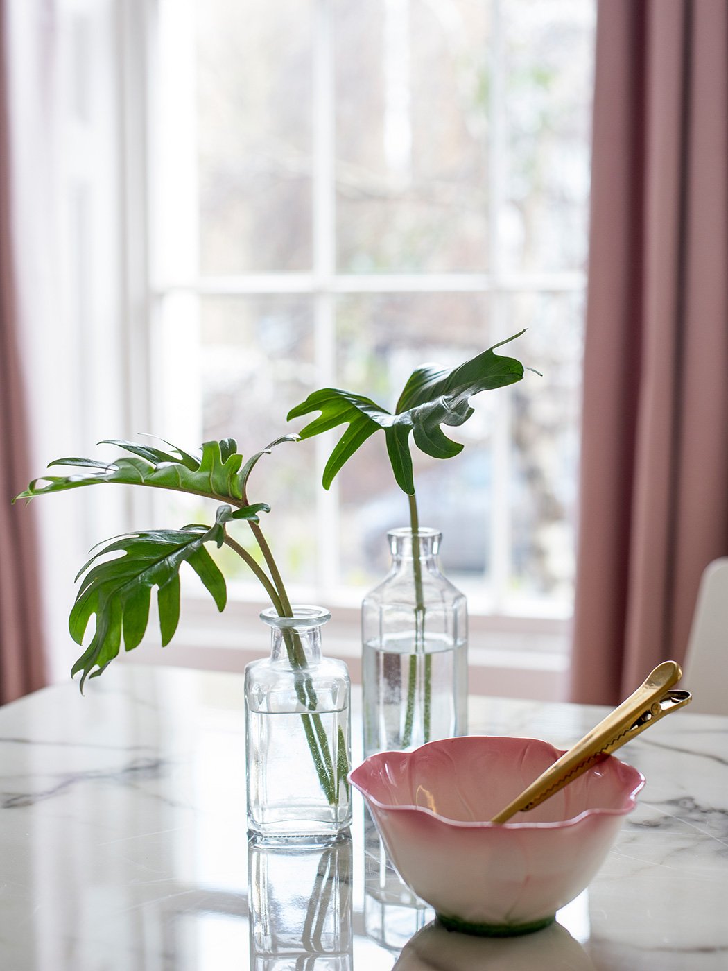 Pink bowl and vase with plant leaves in front of a window