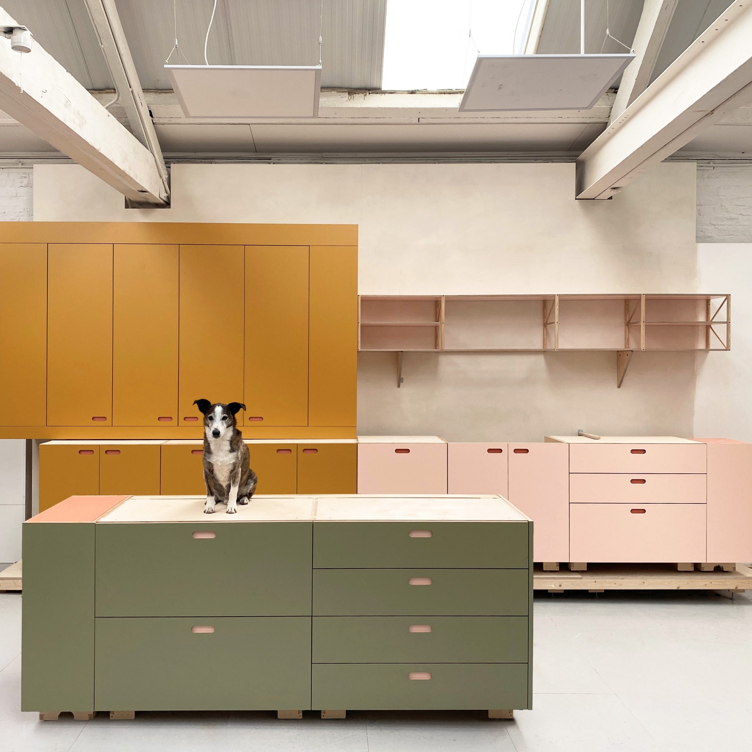 Minimal mustard, green and pink kitchen in production at independent kitchen designers Pluck's warehouse