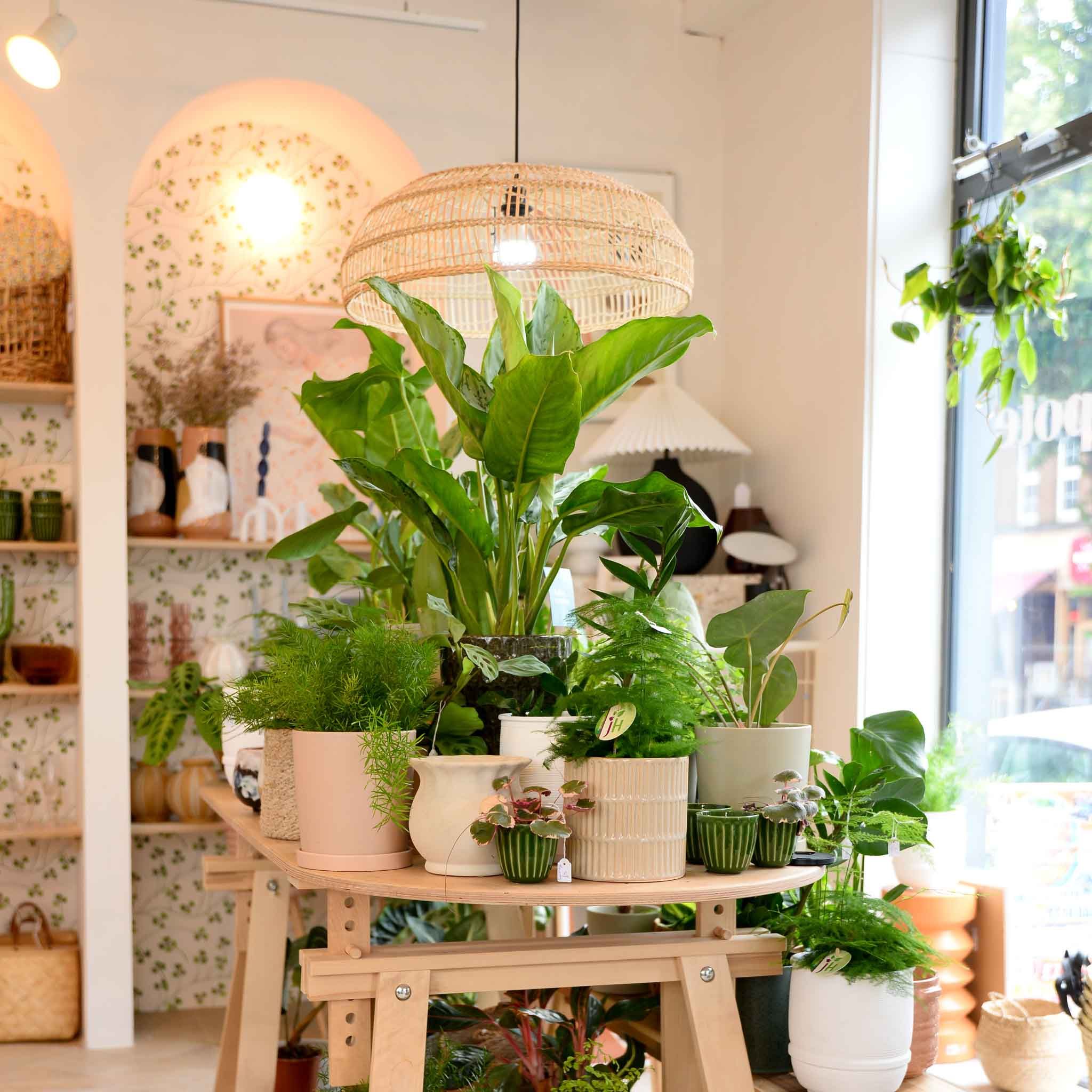 Scandi homeware and boho interiors in independent homeware store mon pote