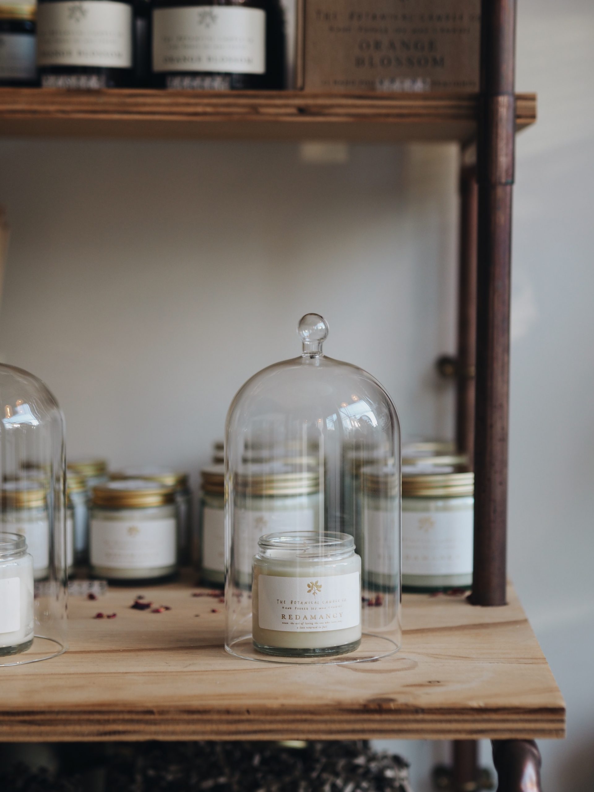 Plant based candle inside dome at The Botanical Candle Co. in Shaftesbury, Dorset