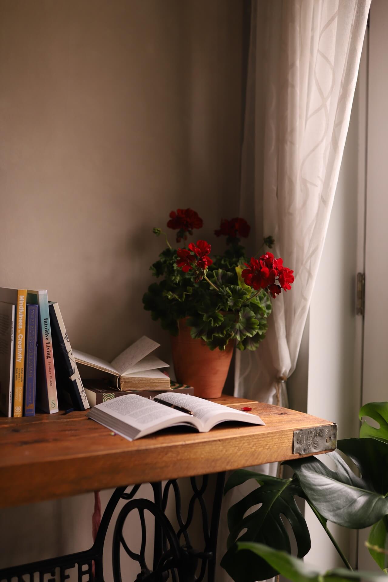 Desk in the corner of a room with books and a potted plant