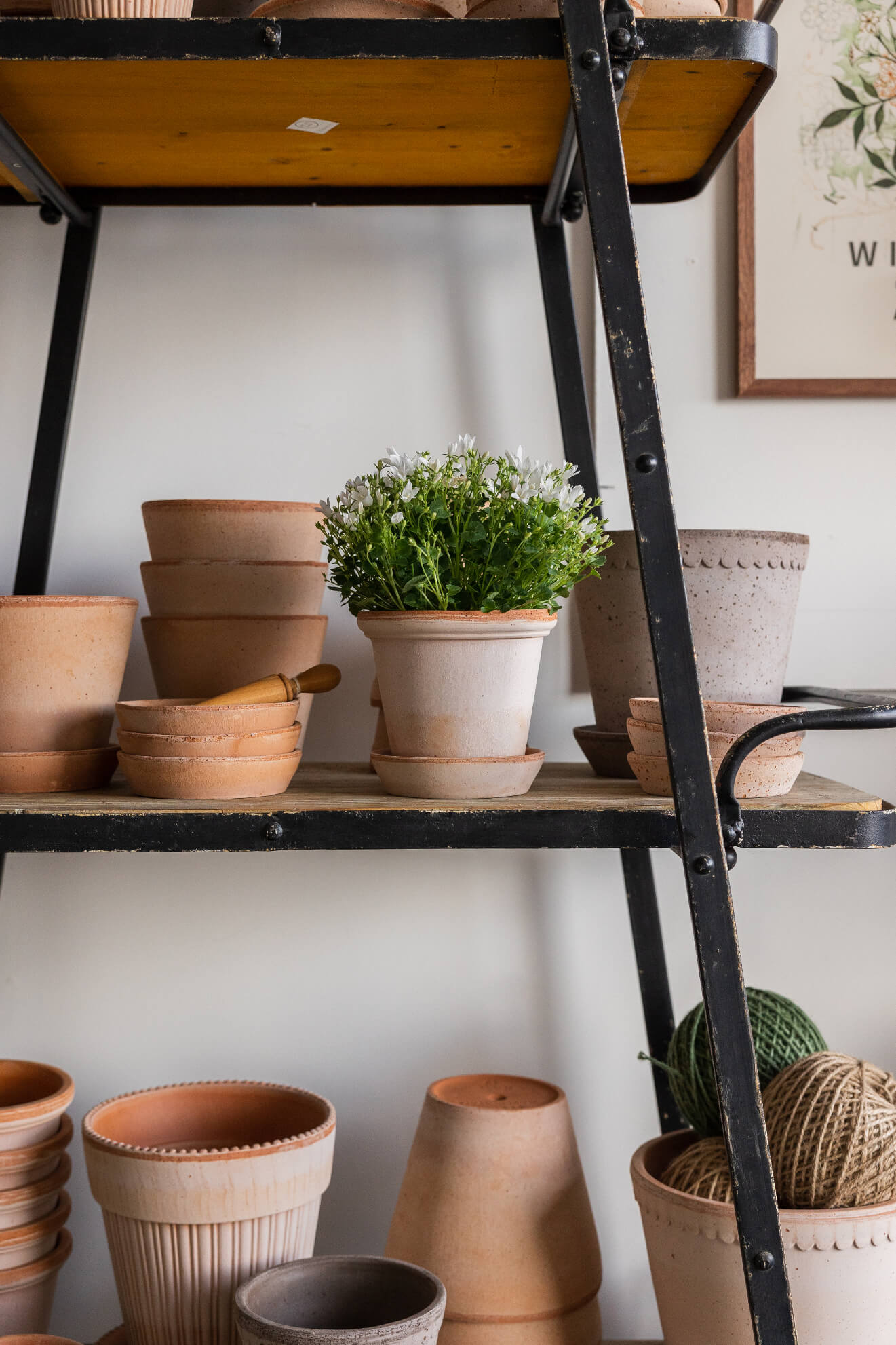 Terracotta clay pots inside Portstewart homewares store A Broader Picture 