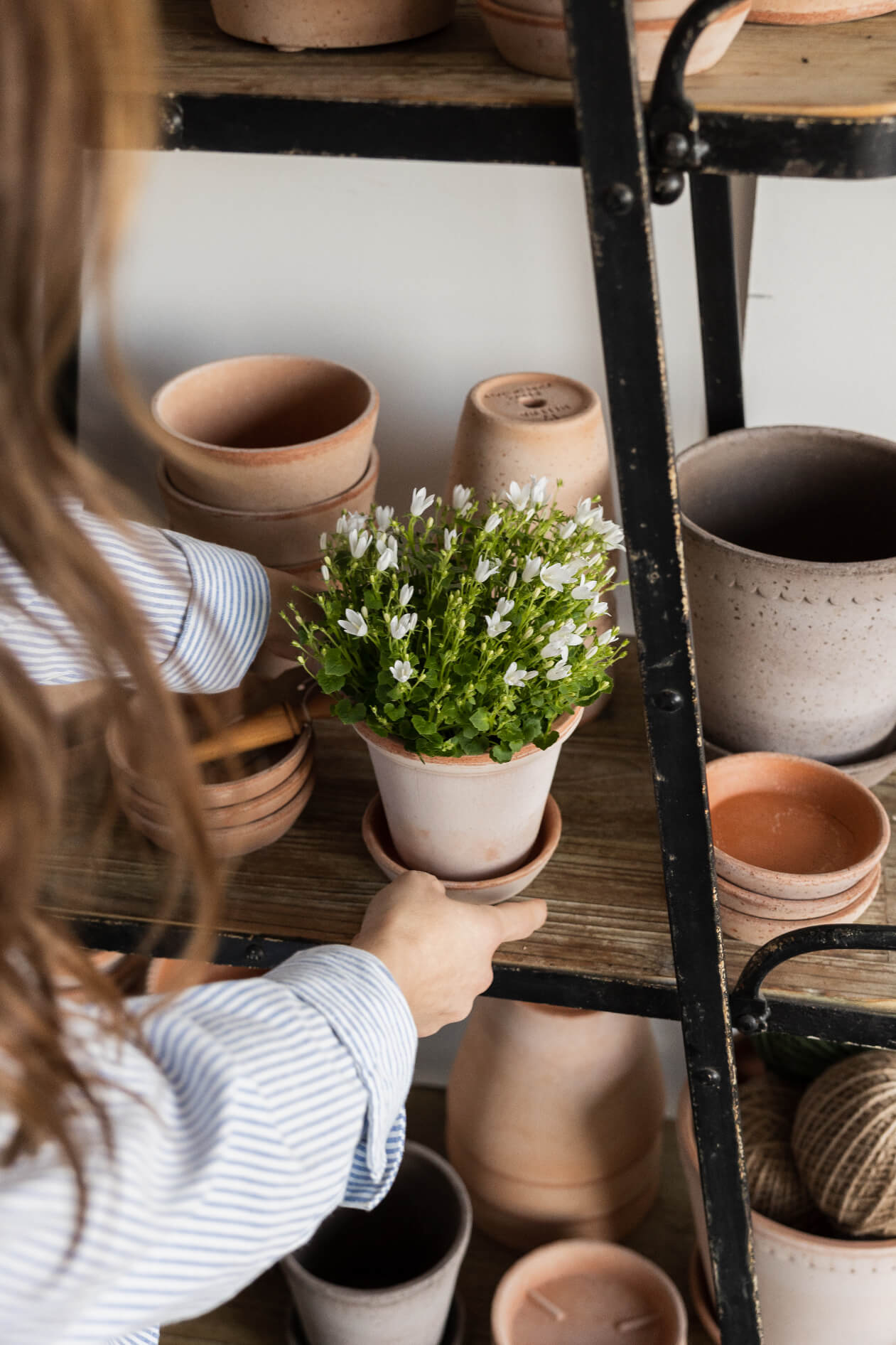 Terracotta clay pots inside Portstewart homewares store A Broader Picture 