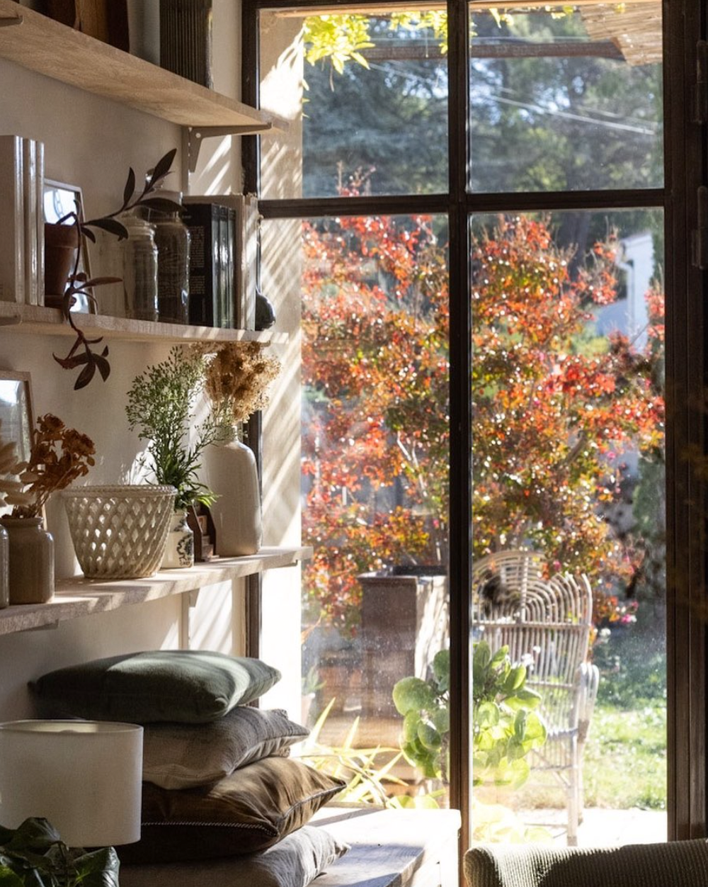 shelving displaying vintage objects next to a window with a view of outdoors. 