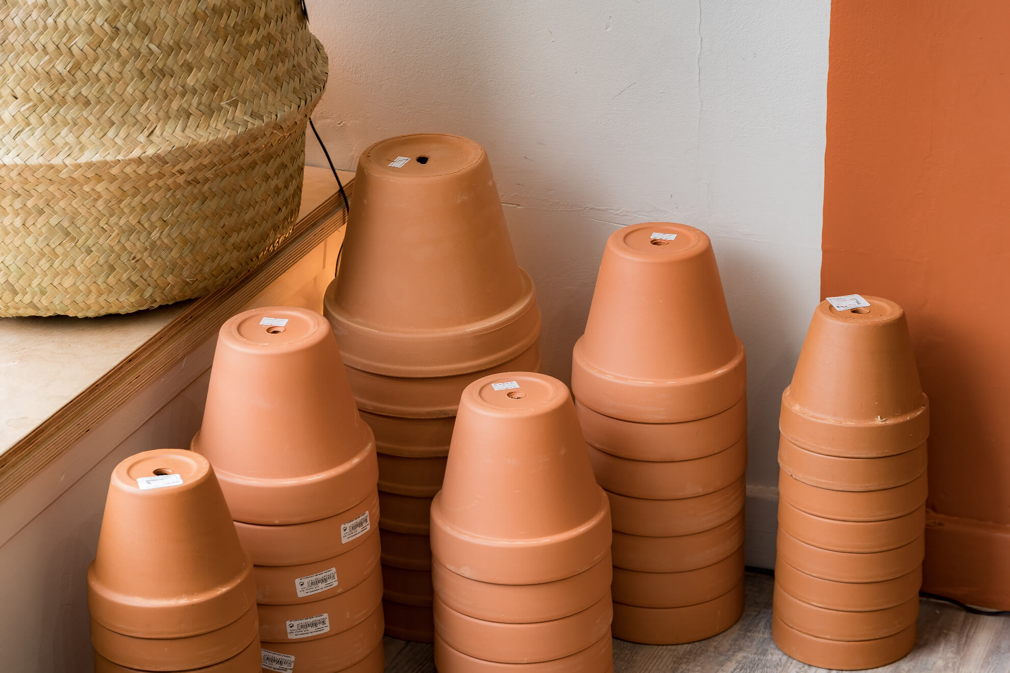 Terracotta plant pots inside Edinburgh plant shop Holly Grows