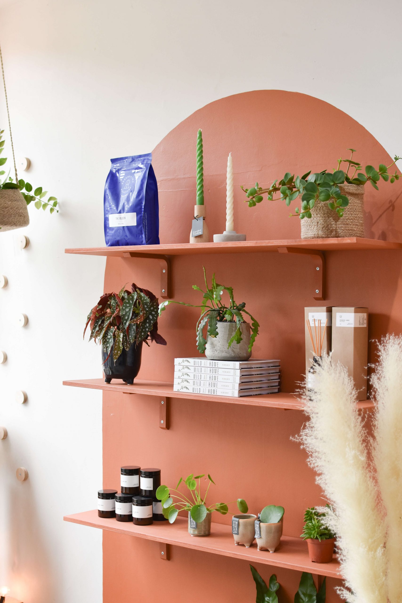 Terracotta mural and shelves with plants inside Edinburgh plant shop Holly Grows