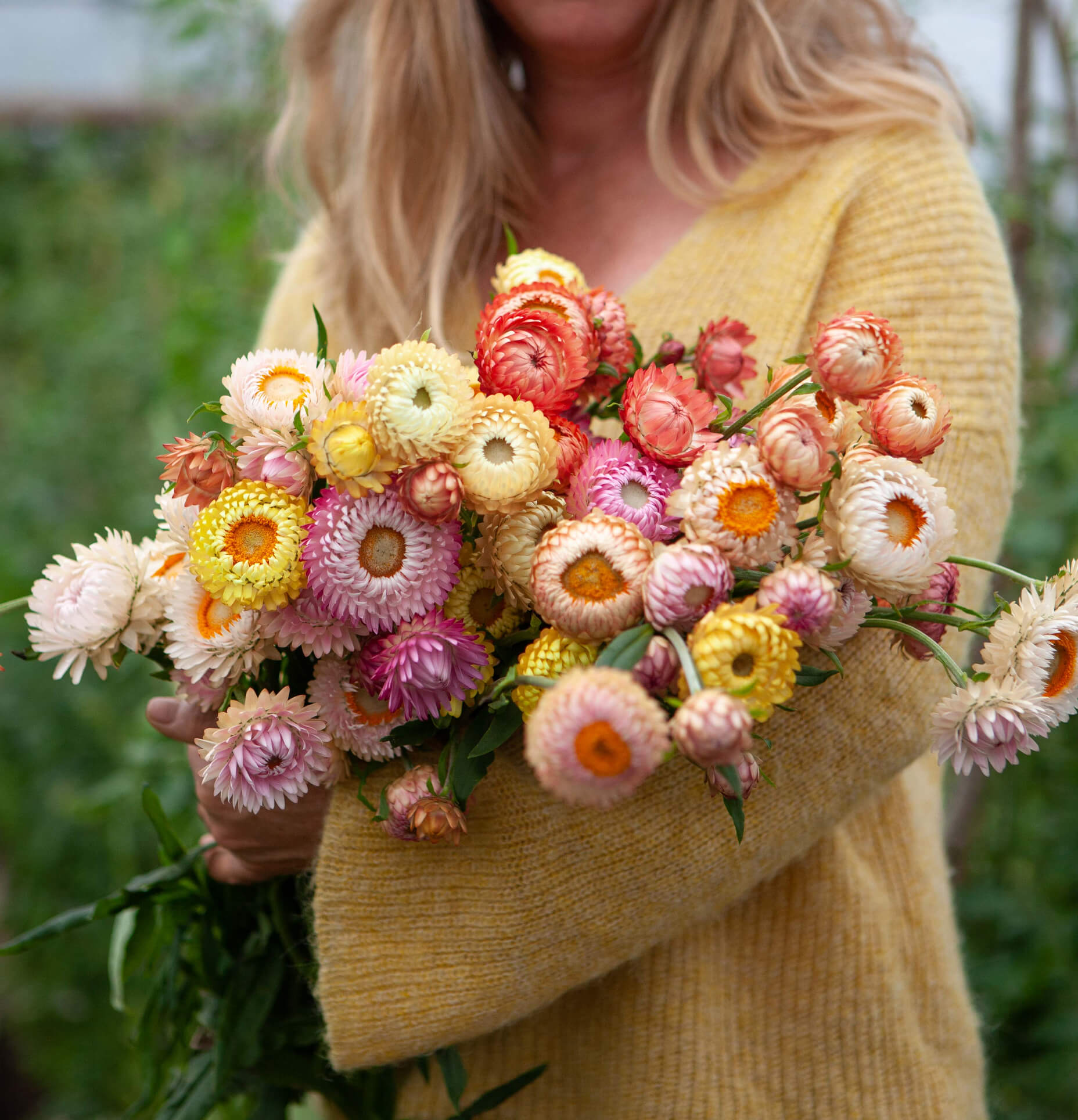 Sustainable interior everlasting floral sculpture designer Layla Robinson collecting flowers for drying