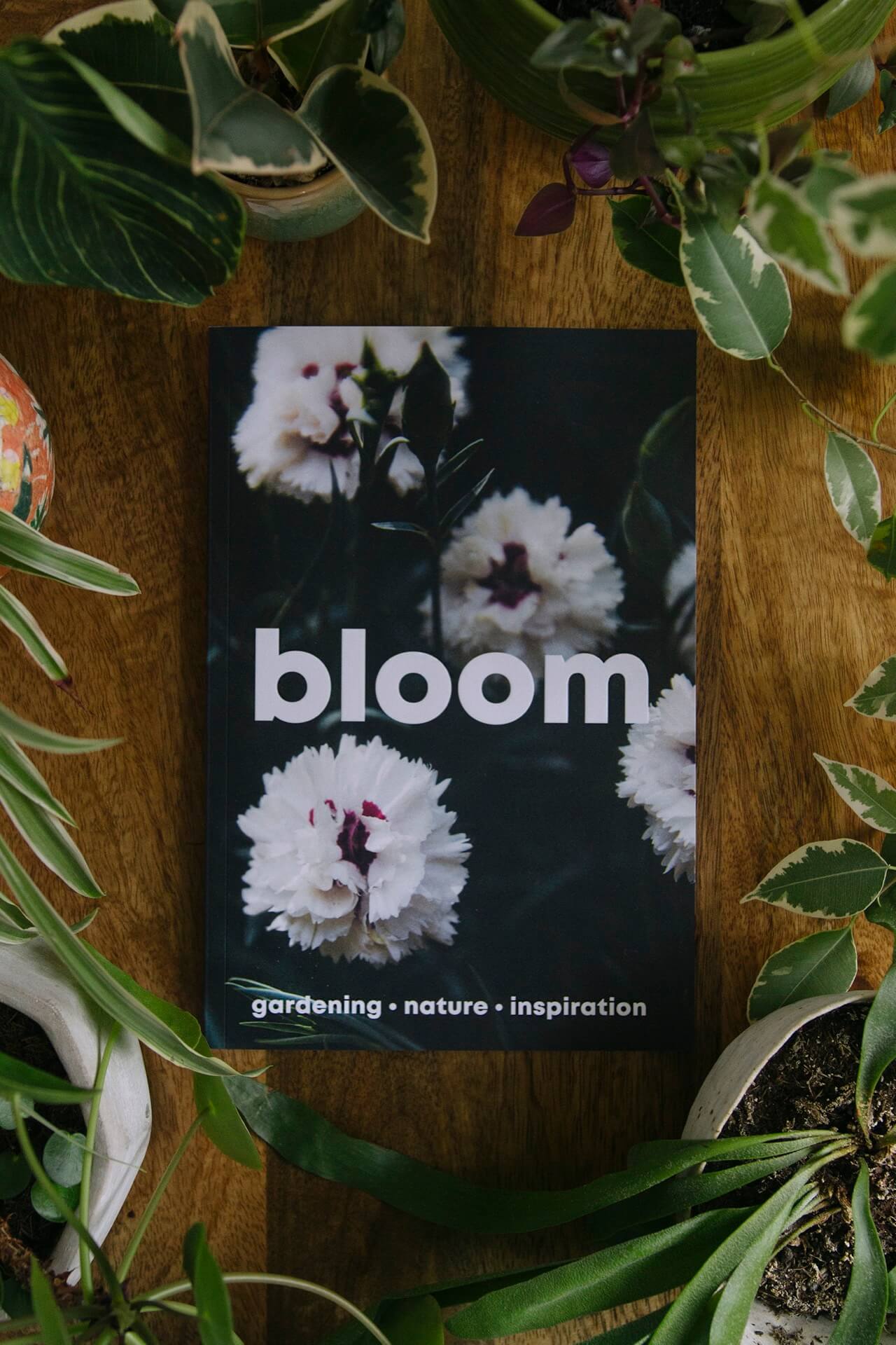 Copy of gardening and plant magazine Bloom