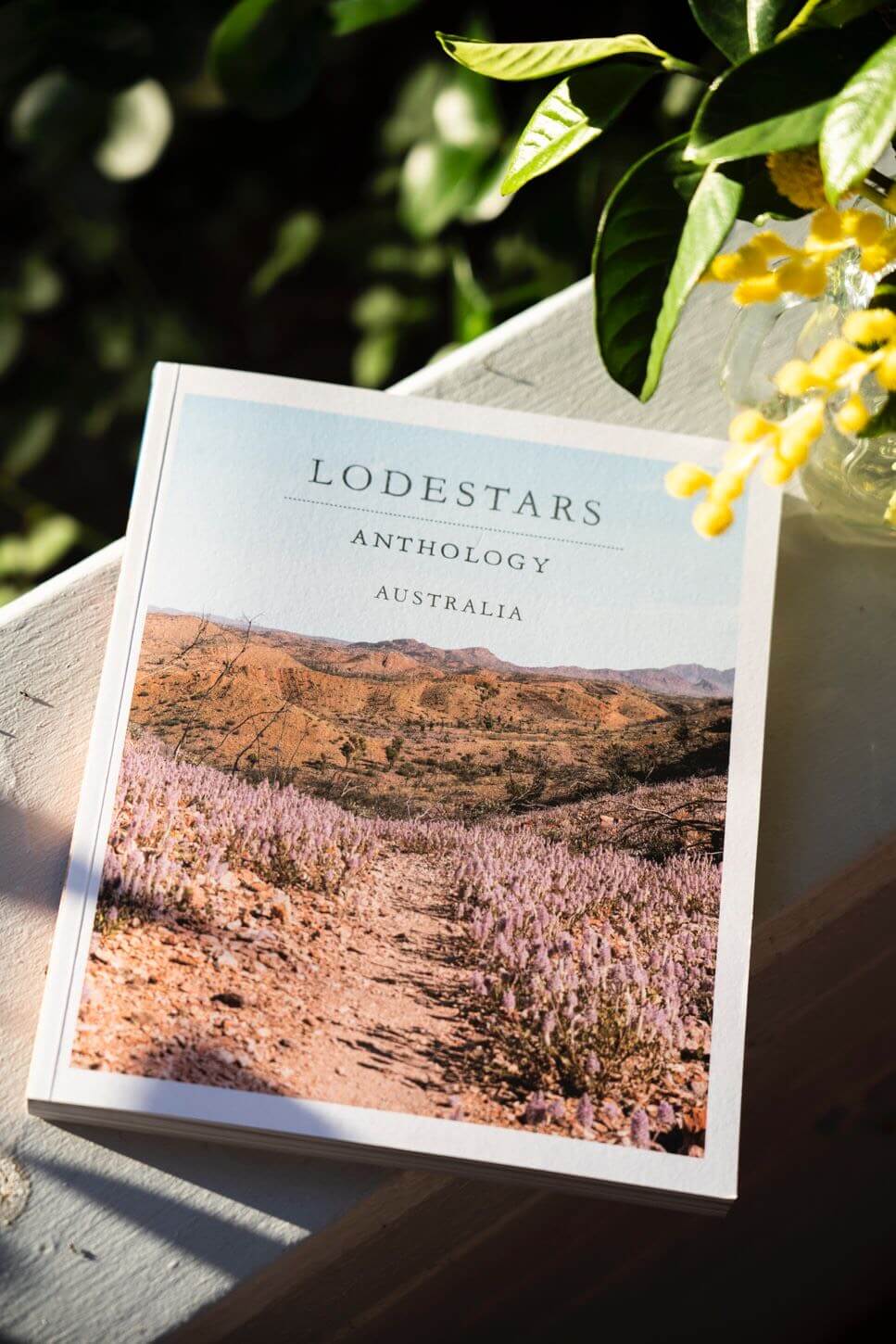 Copy of Lodestar Anthology magazine
