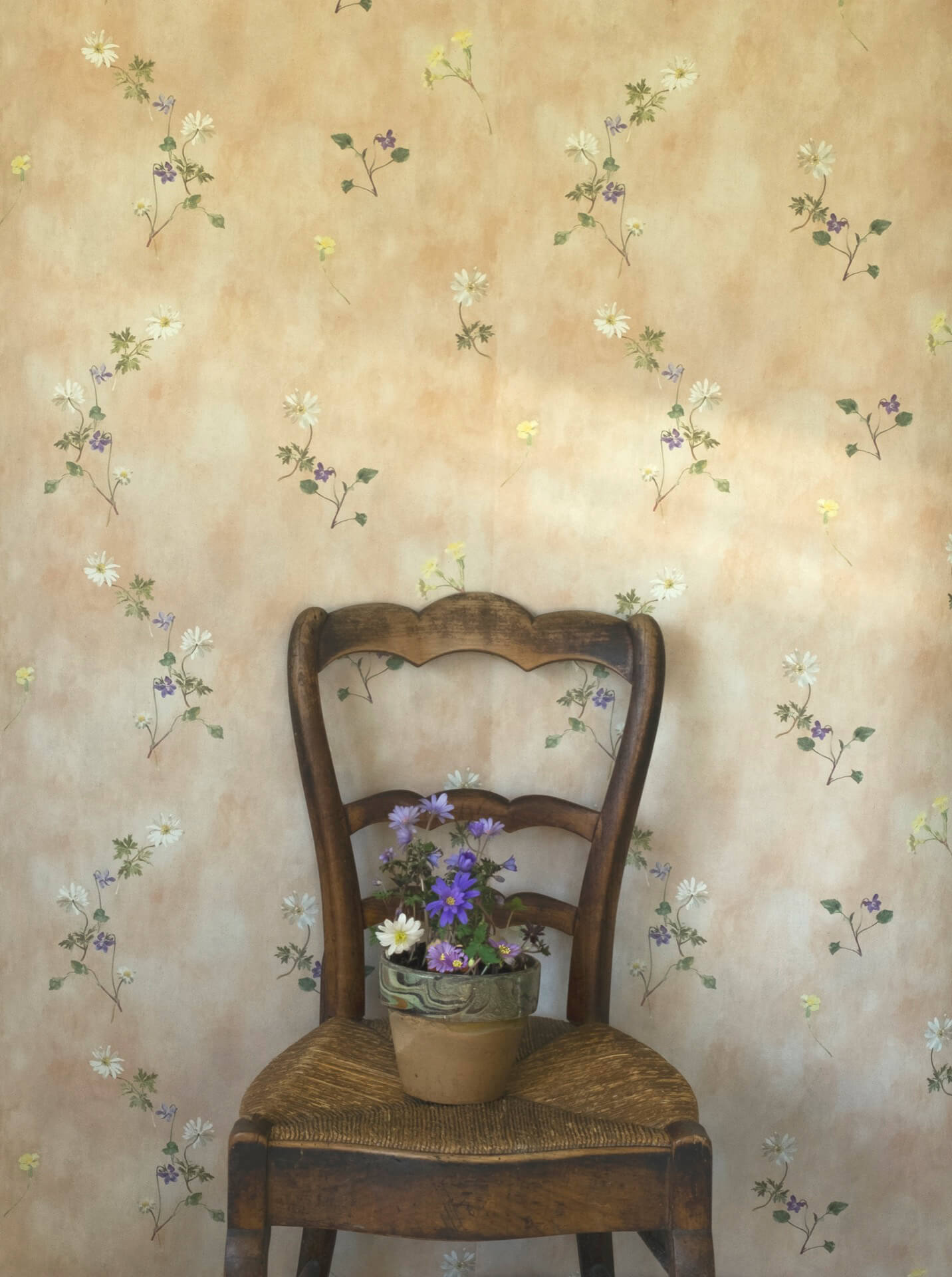 Floral wallpaper by Scottish wallpaper designer Flora Roberts