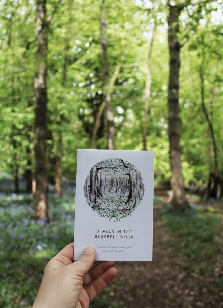 A walk in the bluebell woods artwork by We Are Stardust, art inspired by nature and science
